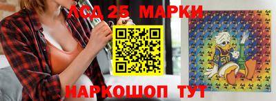 гидропоника Дубна