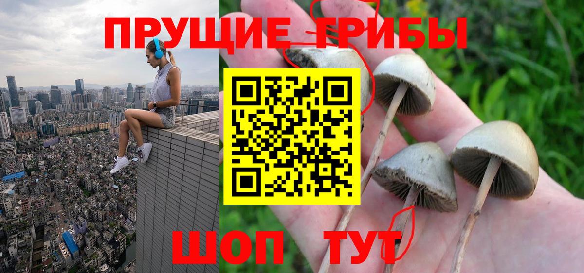Псилоцибиновые грибы ЛСД Малоярославец