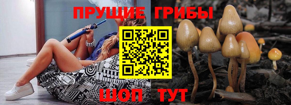 Малоярославец  Псилоцибиновые грибы мицелий  Галлюциногенные грибы ЛСД  Вход с VPN 